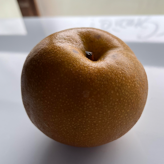 【8個】頓服する、定番と季節のジェラート8個セット(全8種類)<カート画面で配送日時指定できます>