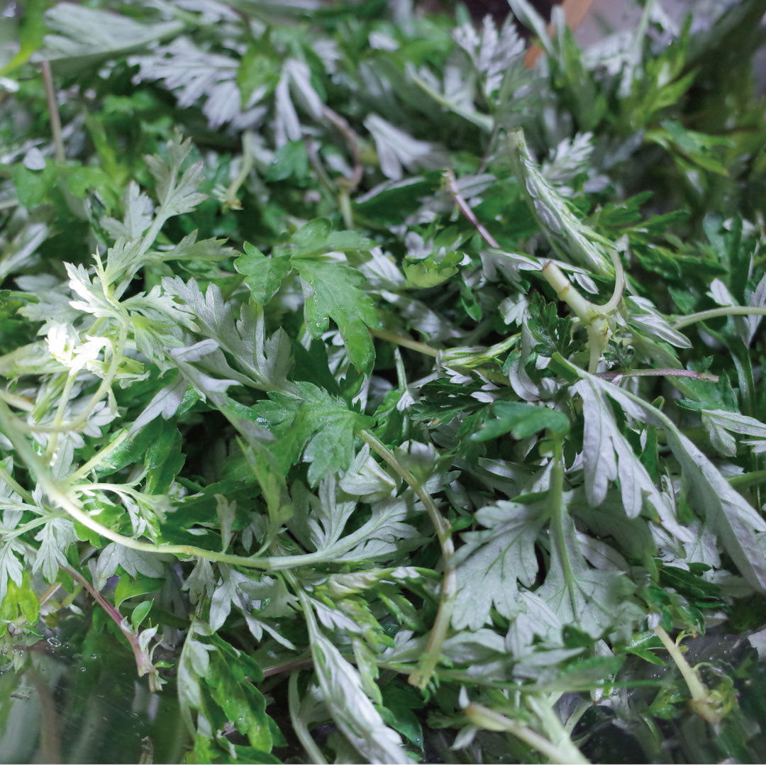 【8個】頓服する、定番と季節のジェラート8個セット(全8種類)<カート画面で配送日時指定できます.>