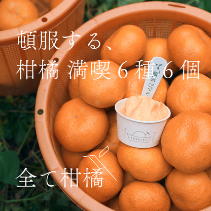 【柑橘6種】頓服する、柑橘 満喫 6種6個セット＜カート画面で配送日時指定できます＞